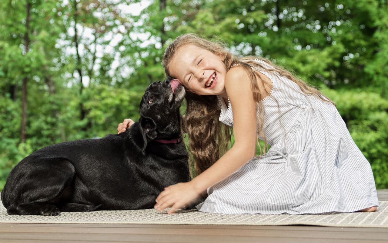 Une fillette joue avec son chien