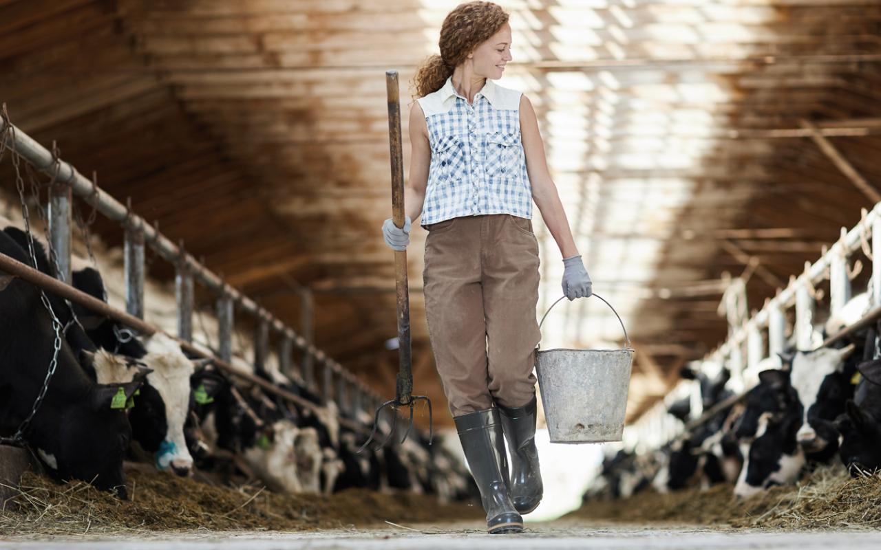 femme dans un étable