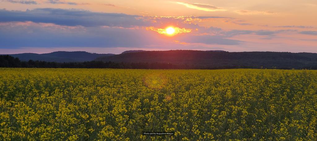 Mutuelle Vallée Outaouais