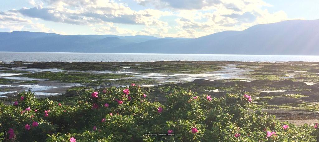 Mutuelle Lac au Fleuve