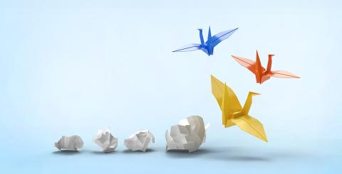 Boules de papiers se transformant en oiseaux de papiers