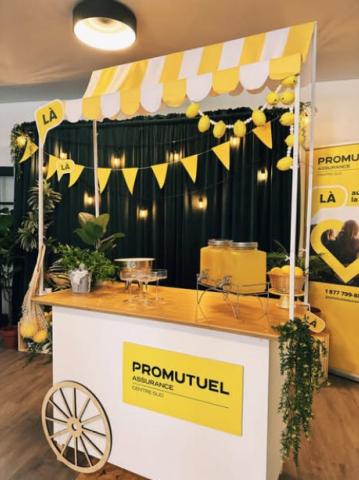 conférence de presse de la Fête du Lac des Nations Promutuel Assurance