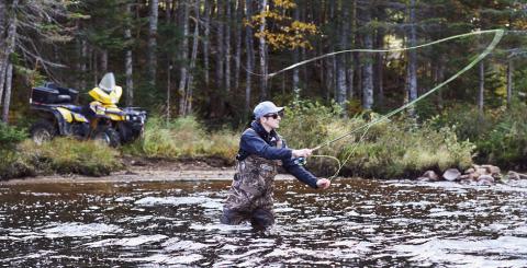 Pêcher au Doré au Québec: Guide Complet (2024) - Pêche 101