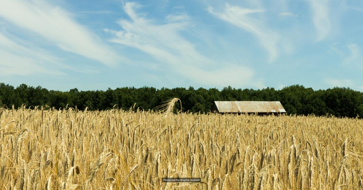 Promutuel Assurance Bagot