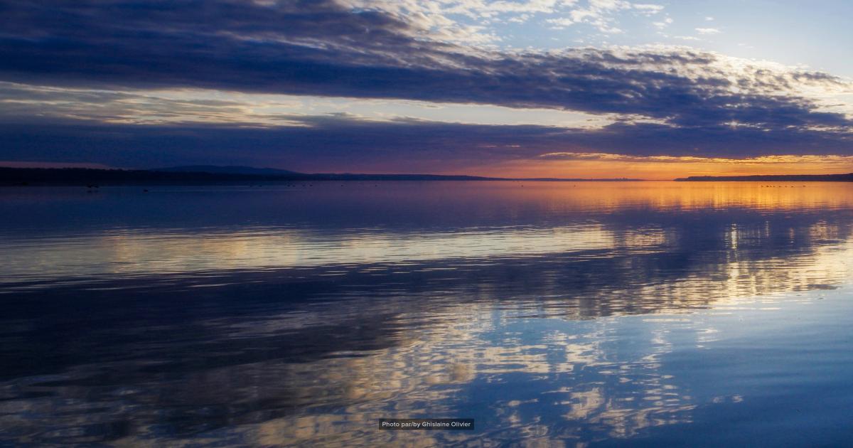 Promutuel Assurance Verchères - Les Forges
