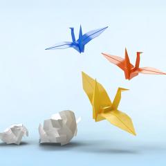Boules de papiers se transformant en oiseaux de papiers
