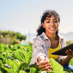 Femme qui analyse un champ agricole avec une tablette