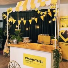 conférence de presse de la Fête du Lac des Nations Promutuel Assurance