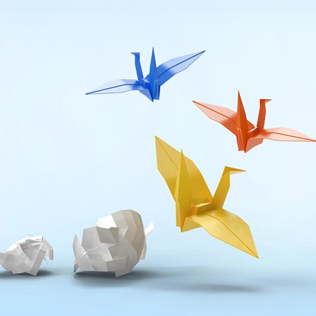 Boules de papiers se transformant en oiseaux de papiers