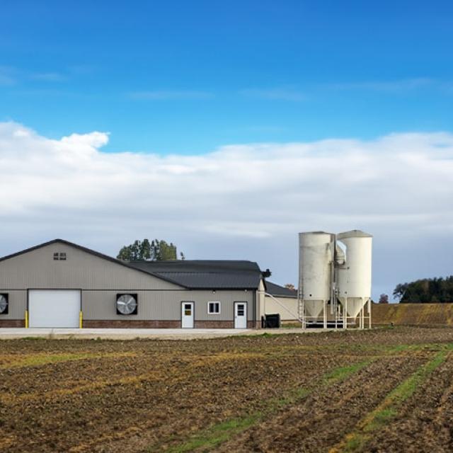 Ferme et terrain agricole assuré chez Promutuel Assurance